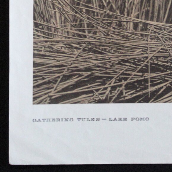 GATHERING TULES - LAKE POMO #150 Edward Sheriff Curtis Print - Picture 5 of 16